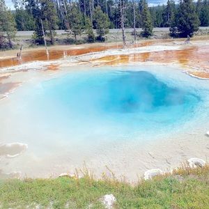 Meet your Posher, Tatum